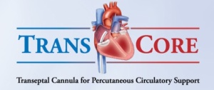 TransCore - Transeptal Cannula for Percutaneous Circulatory Support